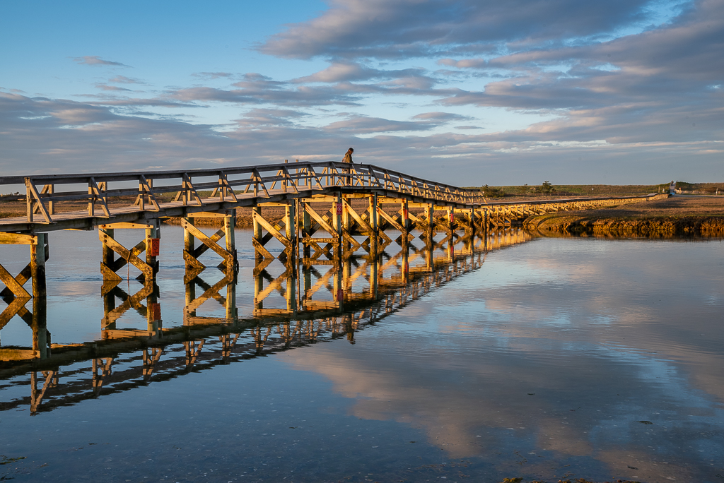 Print In Class M By Darlene Whitmore For Sandwich At Sunset MAY-2019.jpg